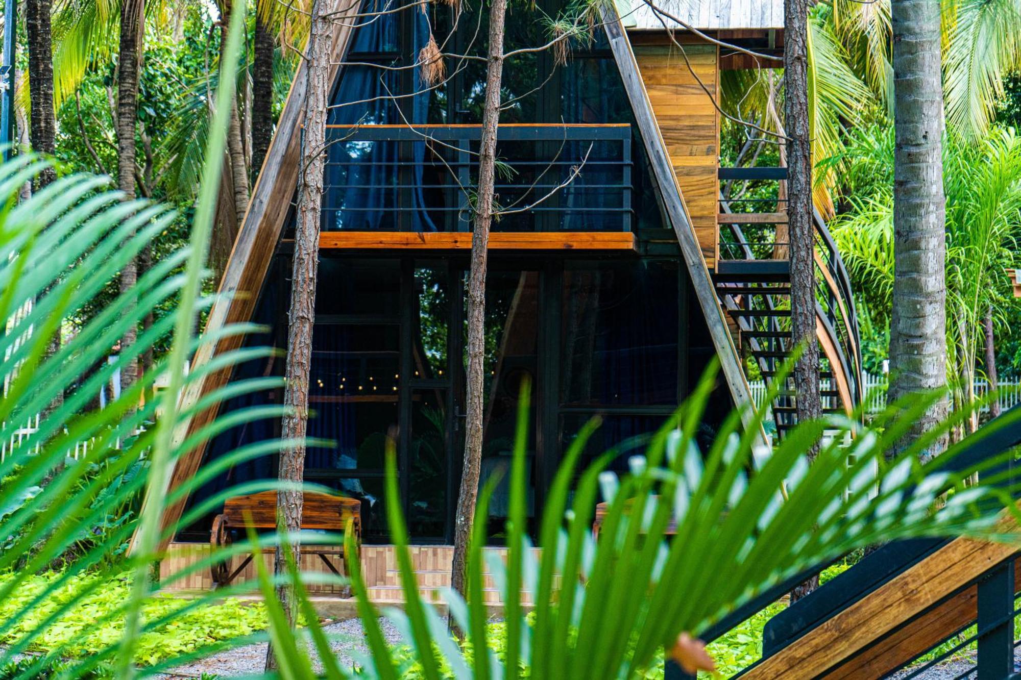 Hotel De Cristal & Hacienda De Los Morales San Miguel Eksteriør billede